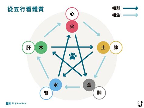 屬性 金木水火土